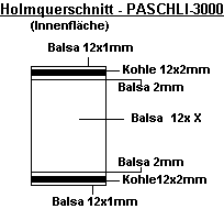 PASCHL3000-HOLM01.gif